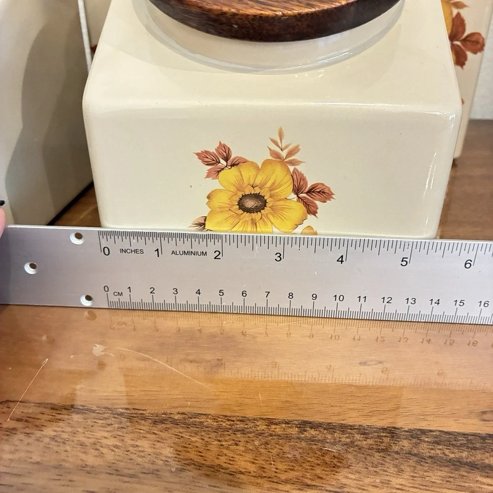 Vintage Hyalyn USA Mid-Century Modern Wildflowers Canister Set of 4 Wooden Lids